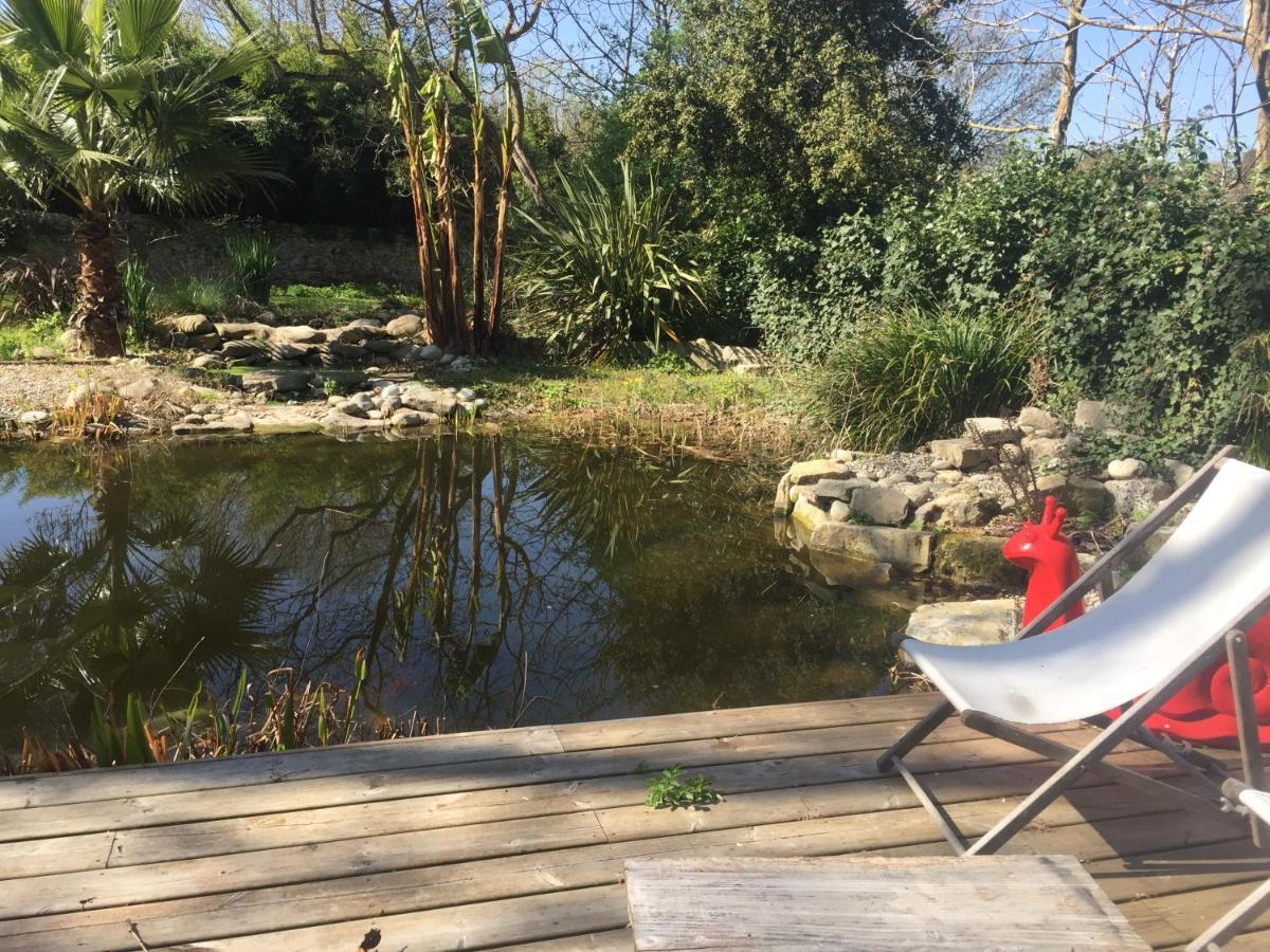 Appartement + Terrasse à 5 Mn De Carcassonne